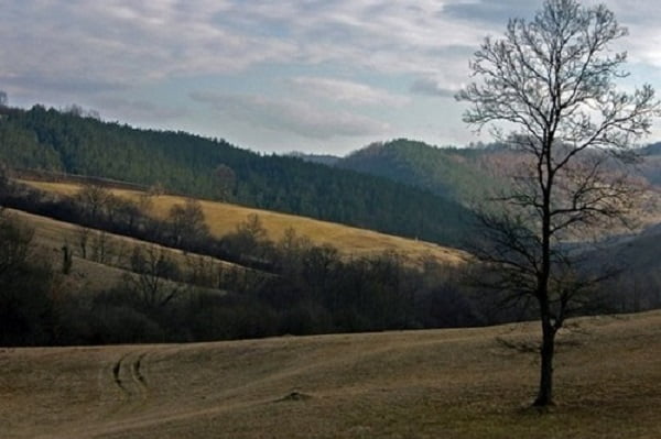 Vreme selo leusici