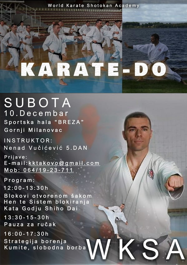 Nenad seminar 1