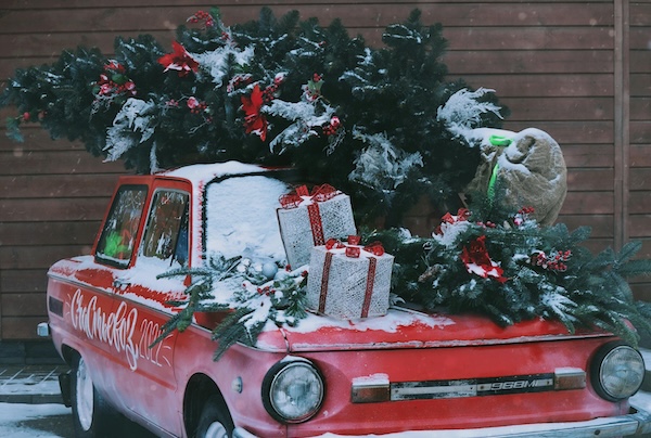 Pexels darya grey owl 132130036 14491369 1