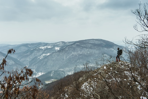 Dsc08727-1 Dsc08727 1