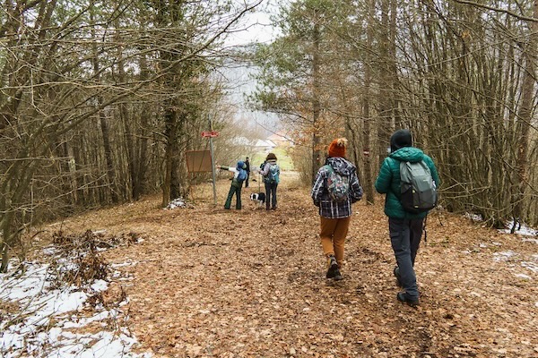 Dsc08857-1 Dsc08857 1