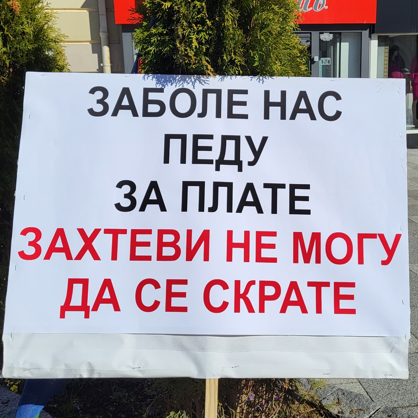 481791845 10234864533816527 7527412104683018049 n 1