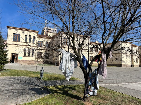 Dnacije studnet 7