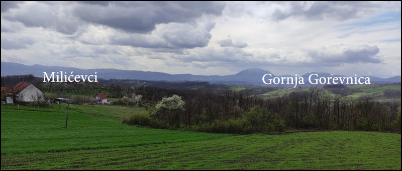 Milicevci gornja gorevnica