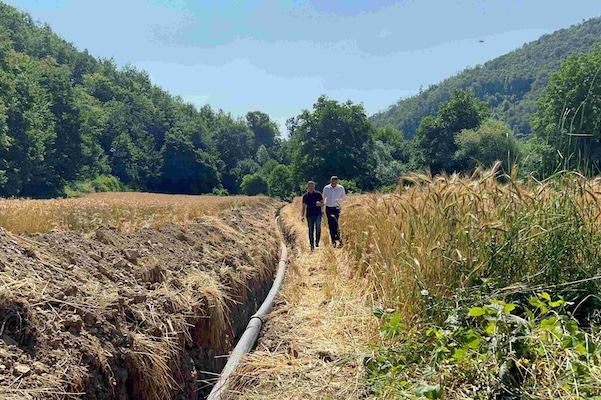 512530916 1148358133998218 7968056174674289956 n