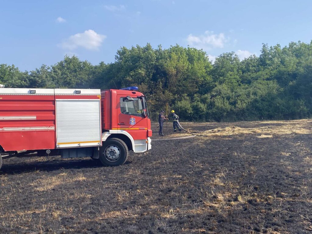 Viber image 2025 06 19 17 34 15 671