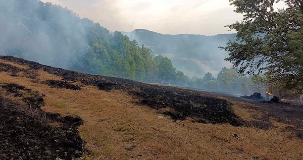 516235687 18078155539927348 5128012453027699568 n