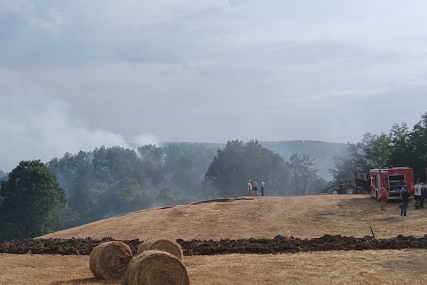 516993769 18078155461927348 4893845409373554278 n