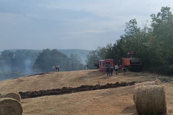 518137560 18078155446927348 7512848642795168258 n