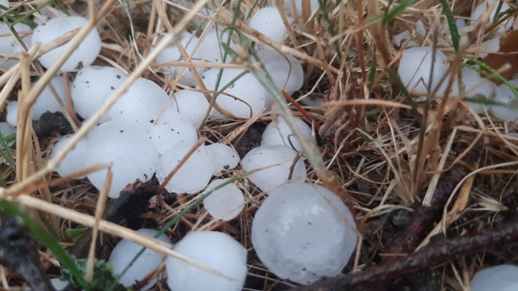 Topola grad1 top press 1024x576 2