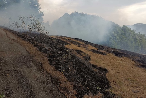 Viber image 2025 07 10 11 45 47 508