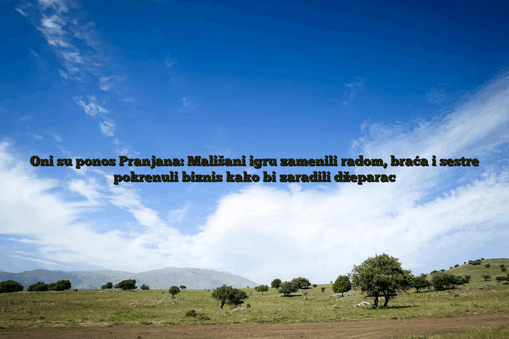 Oni su ponos pranjana: mališani igru zamenili radom, braća i sestre pokrenuli biznis kako bi zaradili džeparac