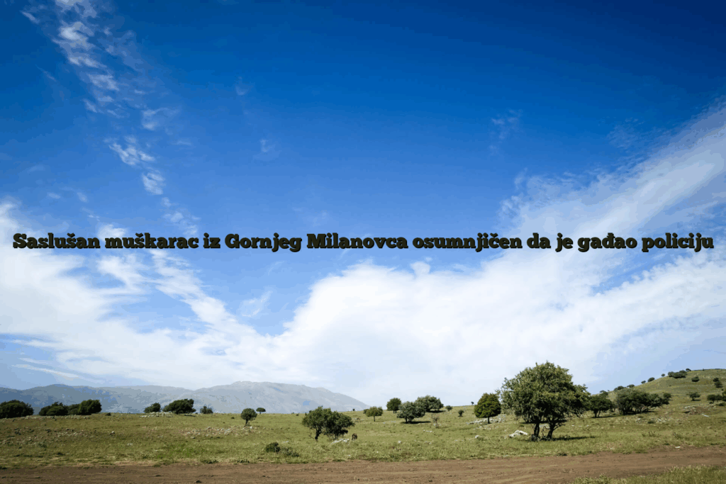 Saslušan muškarac iz gornjeg milanovca osumnjičen da je gađao policiju