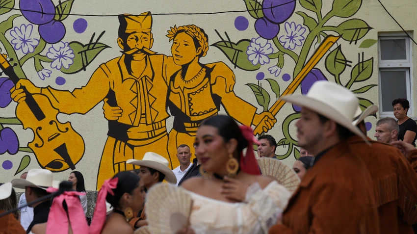 Sabor violinista u pranjanima