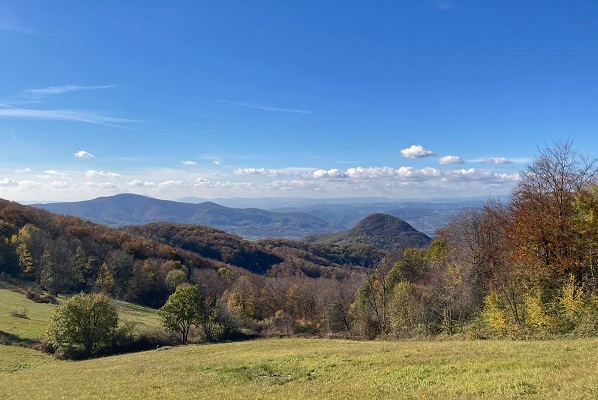 124084672 301542164219081 7821804788713713687 n 1