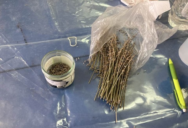 559739694_4212834222376438_7097554965386641359_N 559739694 4212834222376438 7097554965386641359 n