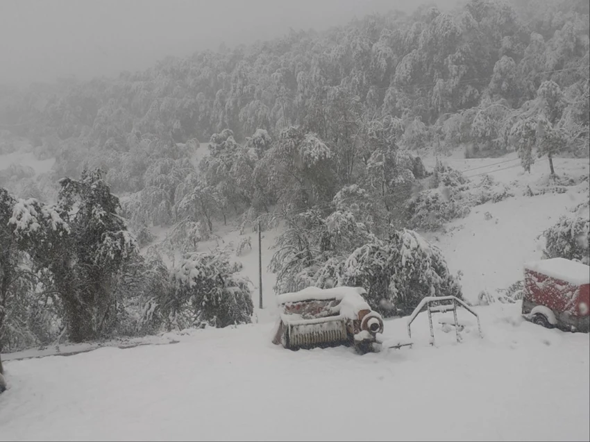 Uyfk9Kpturbxy80Ntjinjk1Mgq1M2I0Ogq2Mzrknjzlzwrjmwvhodbhms5Qcgerkwlna1Ia3Gabotaf-2 Ivanjičko selo lisa pre nekoliko dana bilo je zavejano