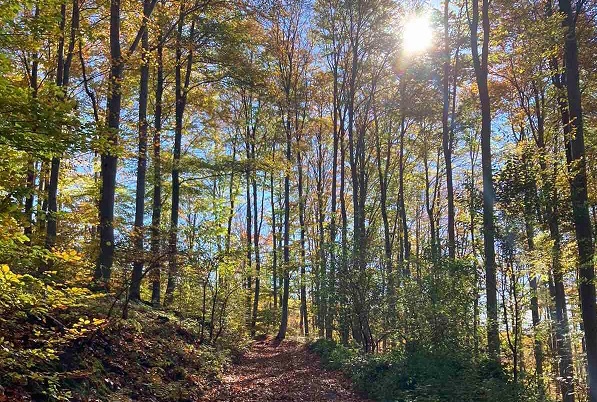 123948561 1709943932519957 7052203509789260868 n 1