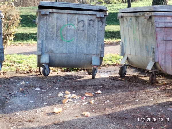 580210a8 9526 4cfa 9f57 403058bc2f47 1 all 32081